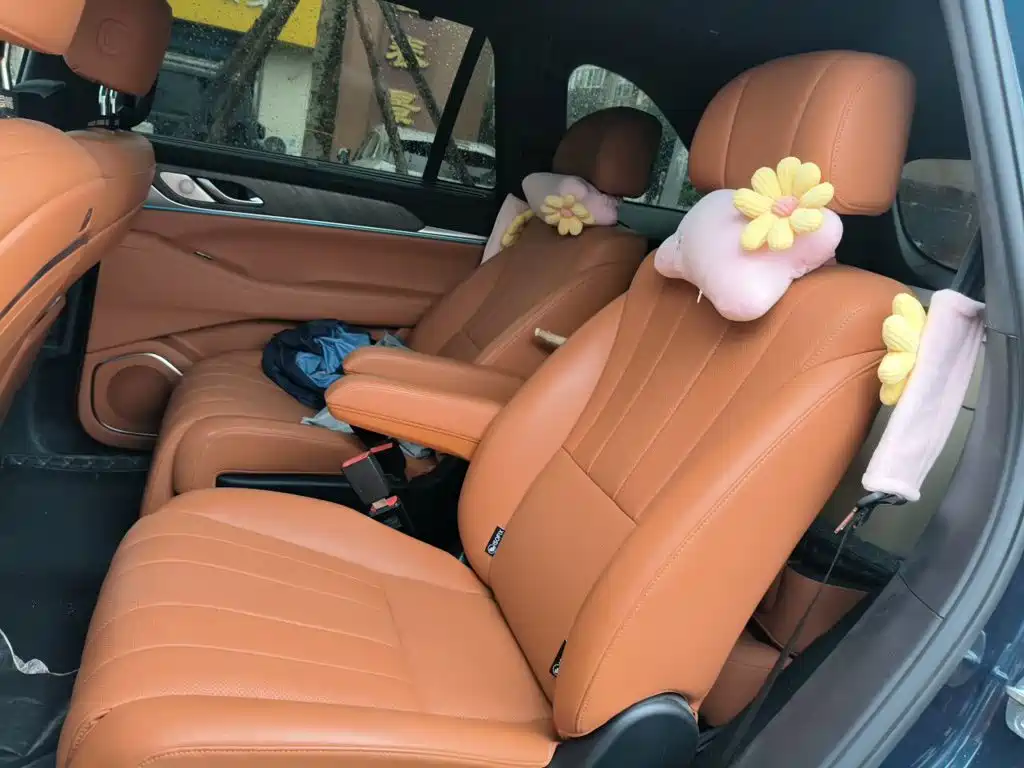 WEY Lanshan 2024 2023 AWD Ultra Long Range Edition