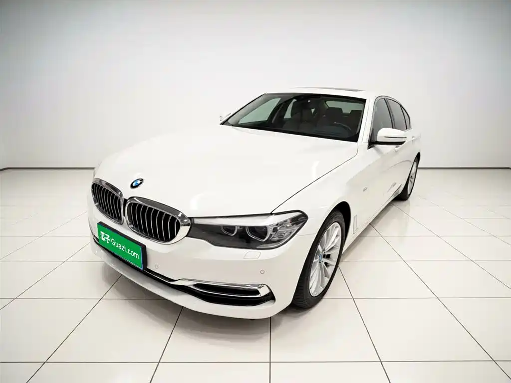 BMW 5 Series 2018 530Li xDrive Luxury Package фото 3