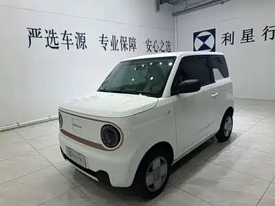 Geely Panda