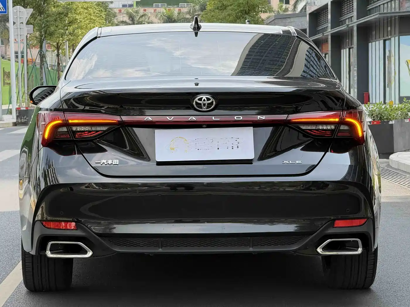 Toyota Avalon 2019 2.0L XLE Premium Edition (China VI) фото 5