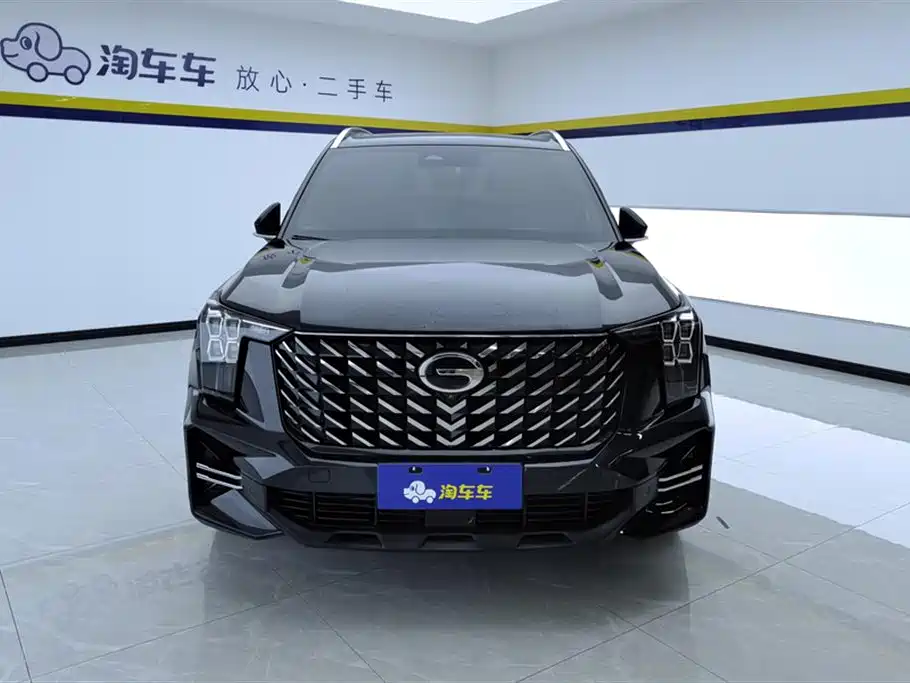 GAC Trumpchi Trumpchi GS8 2024 Navigator Series 2.0TGDI 2WD Luxury Smart Connect Edition фото 2