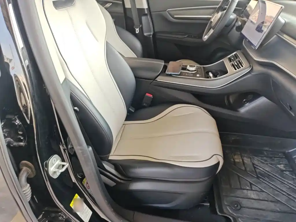 BYD Destroyer 05 2024 2024 Glory Edition DM-i 55KM Luxury