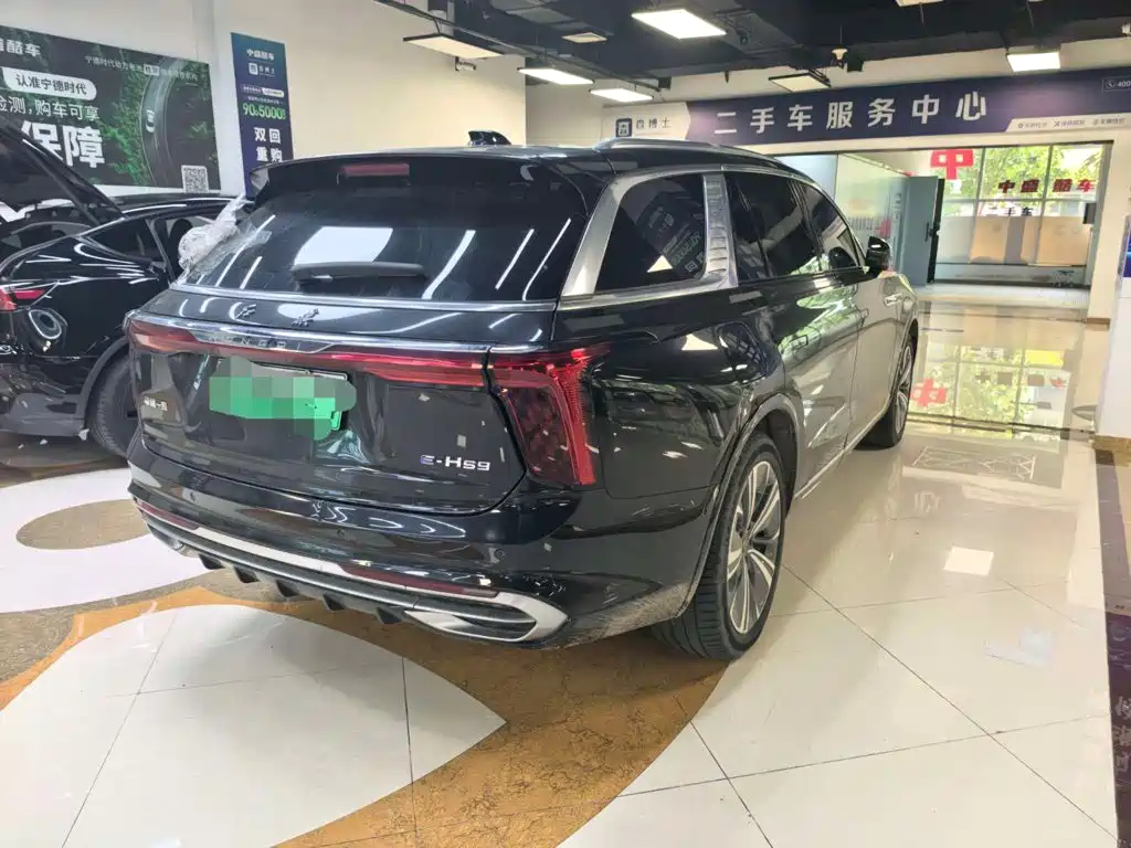 Hongqi E-HS9 2021 2021 460km Flagship Comfort 6-seater