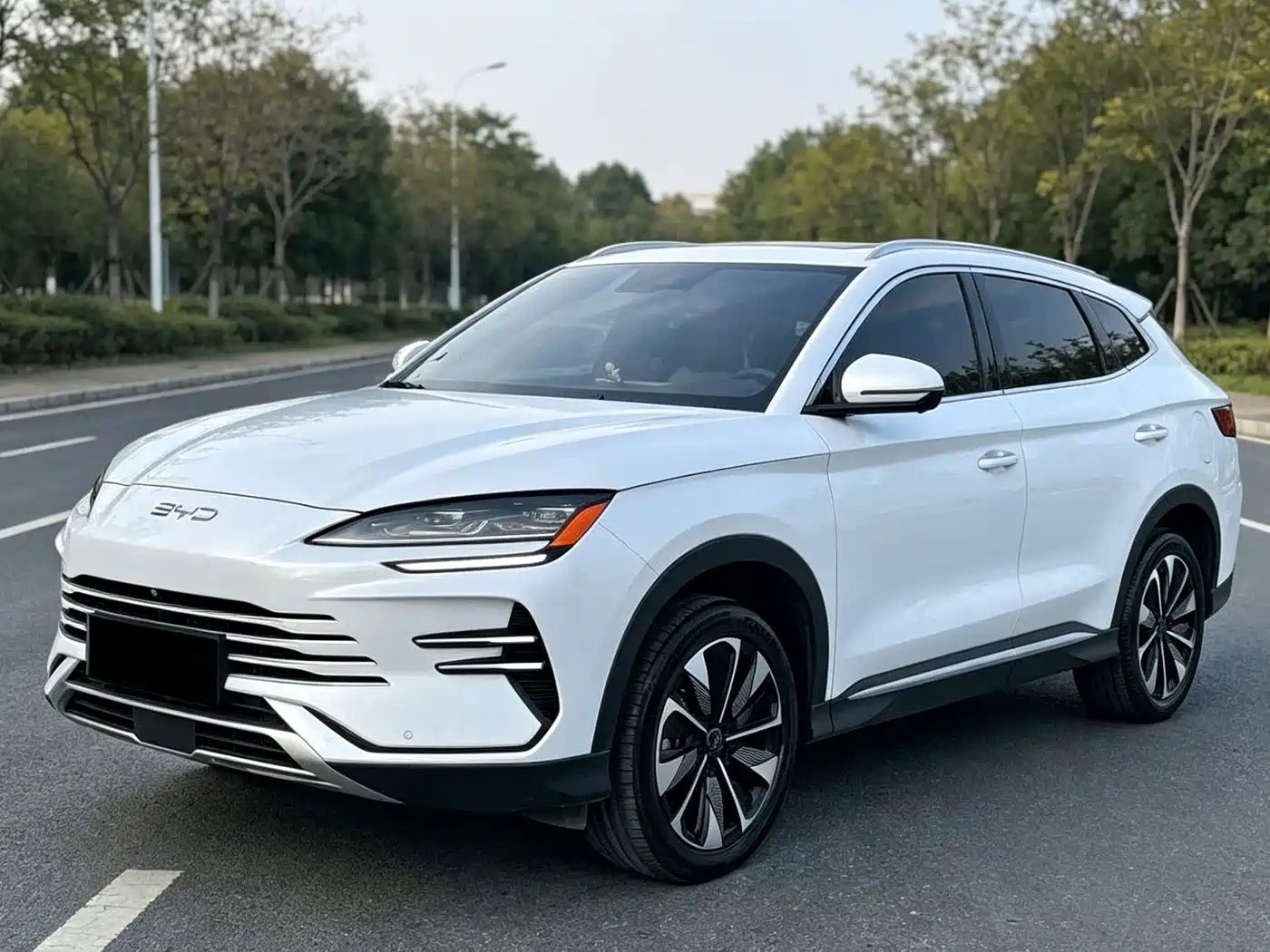 BYD Song PLUS PHEV 2025 2025 DM-i 112KM Premium