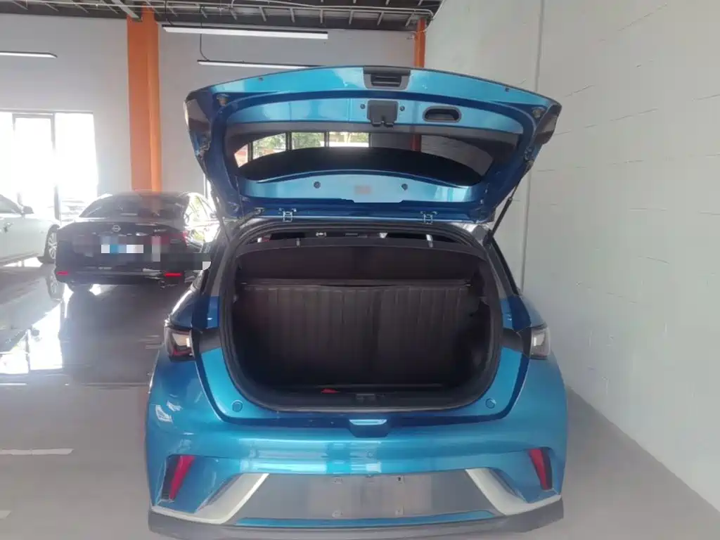 BYD Dolphin 2021 2021 401km Knight Edition