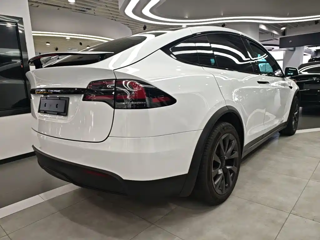 Фото 7 - Tesla Model X