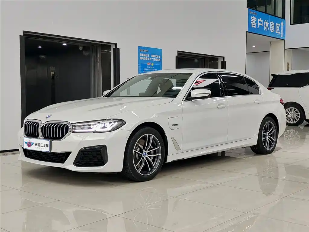 BMW 5 SERIES NEW ENERGY