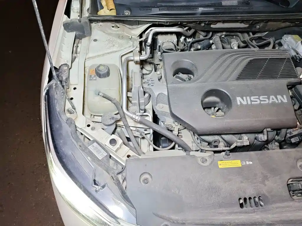 Nissan SYLPHY, миниатюра 20