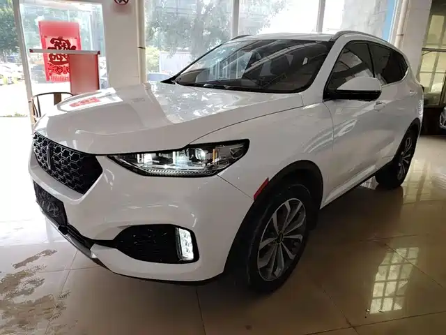  WEY Wey VV6 2018 2.0T 2WD Super Luxury China V