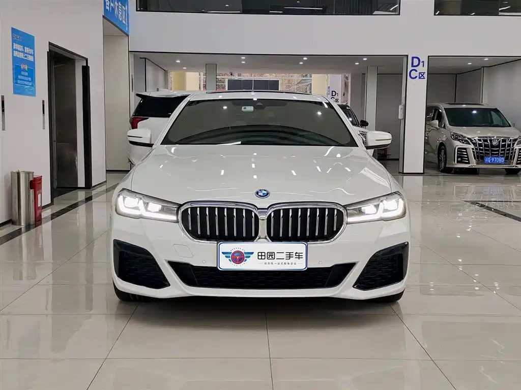 BMW 5 SERIES NEW ENERGY