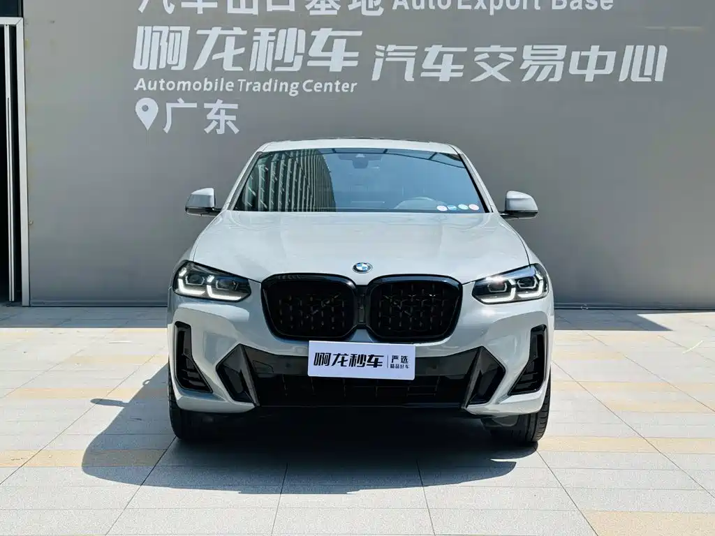 BMW X4 2023 2022 xDrive 30i M Sport Blackout Package
