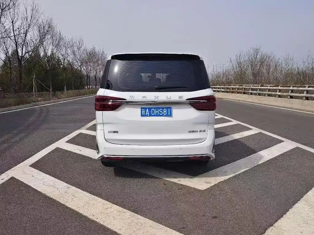 SAIC MAXUS CHASE G20