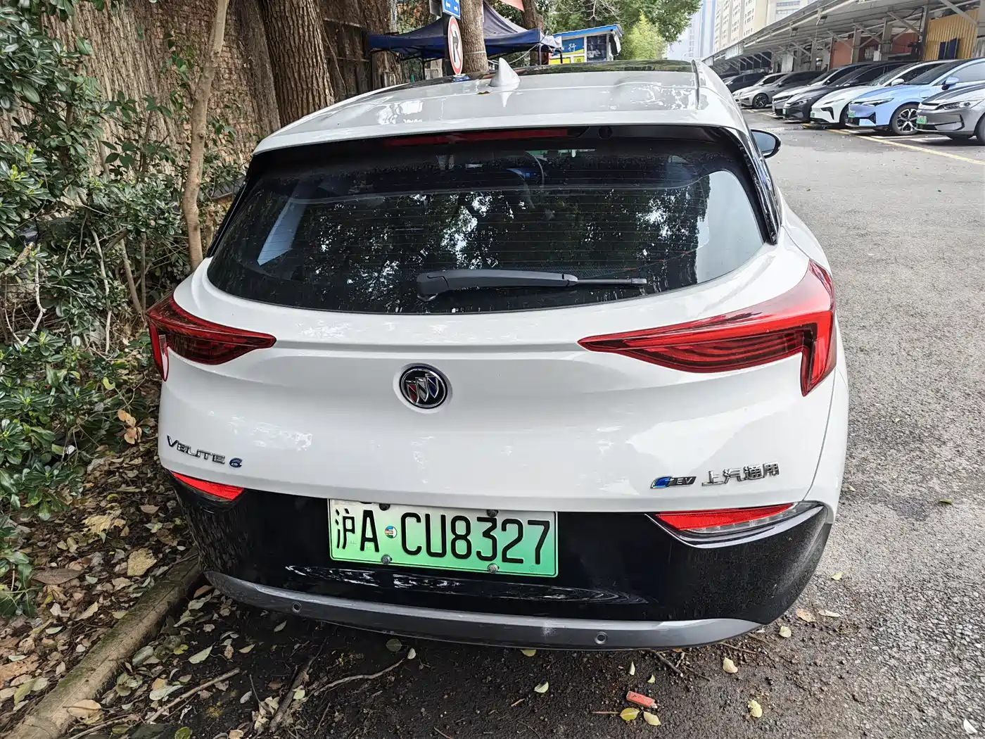 BUICK SLIGHTLY BLUE 6