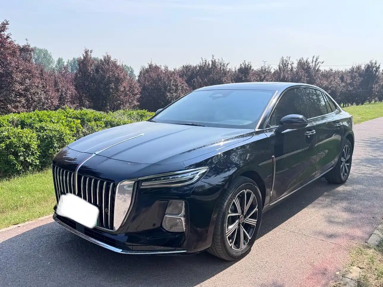  Hongqi Hongqi H5 PHEV 2025 170 Super Hybrid Edition