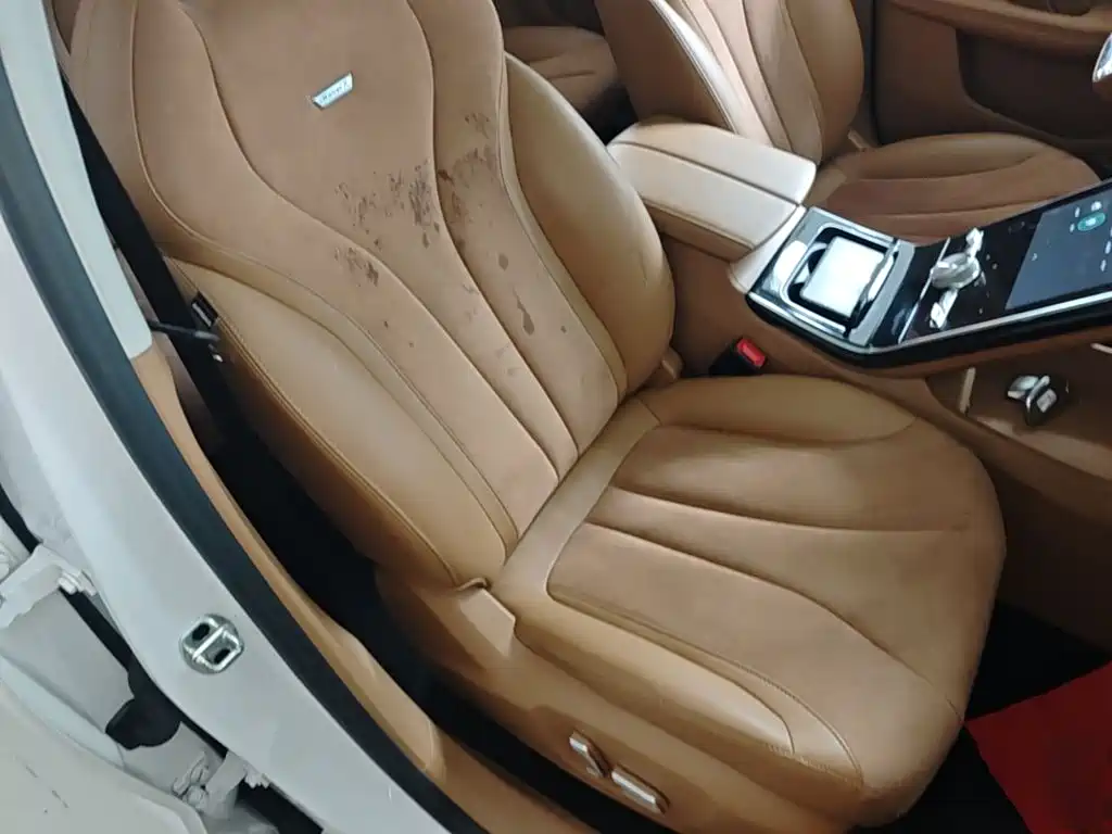 Roewe MARVEL X 2019 2018 Rear-Wheel Drive Version