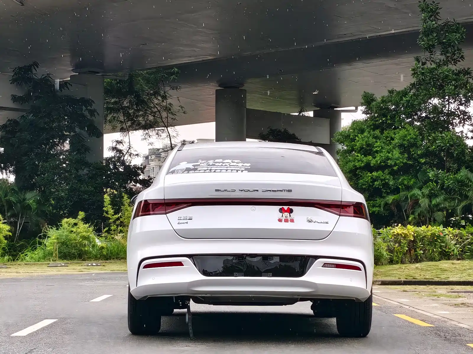 Фото 6 - BYD Qin PLUS