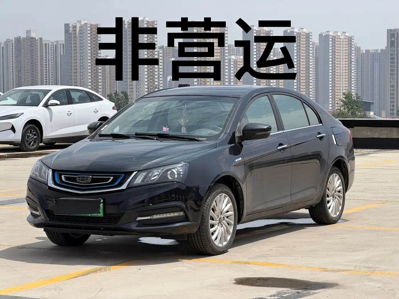 Geely Emgrand New Energy 2017 2017 EV300 Elite