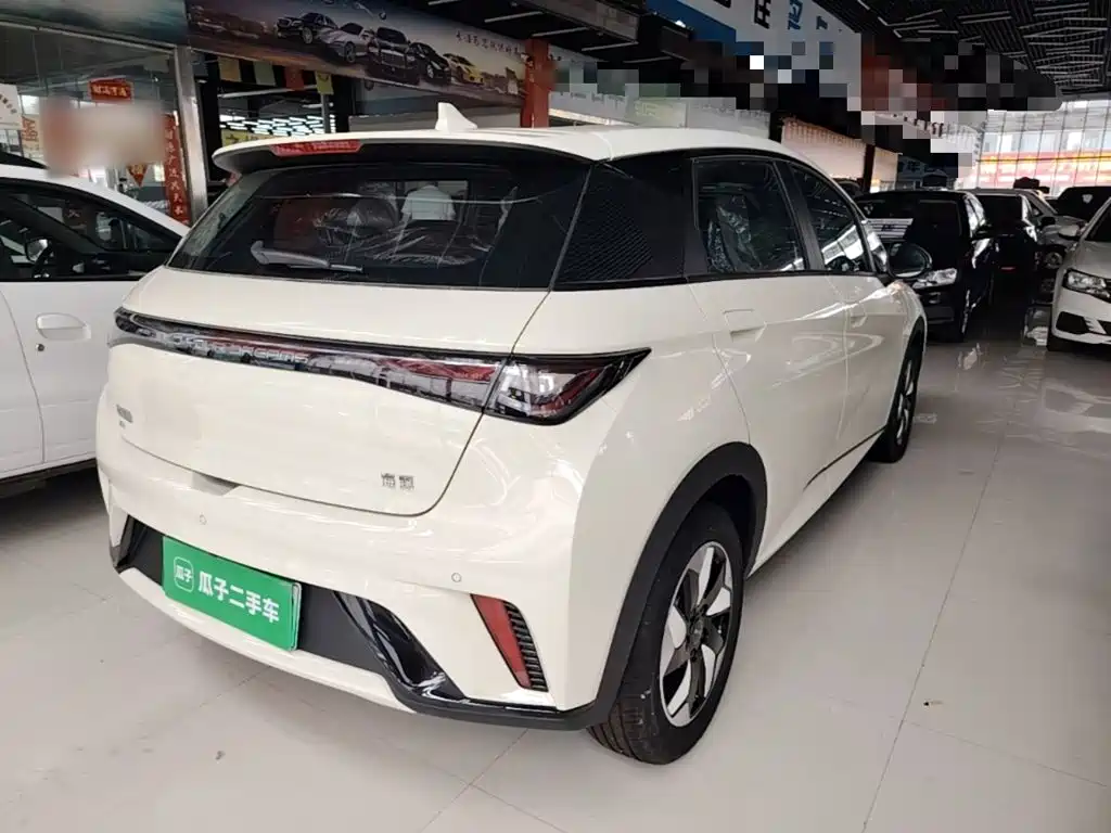 BYD Dolphin 2026 2025 420km Freedom Edition