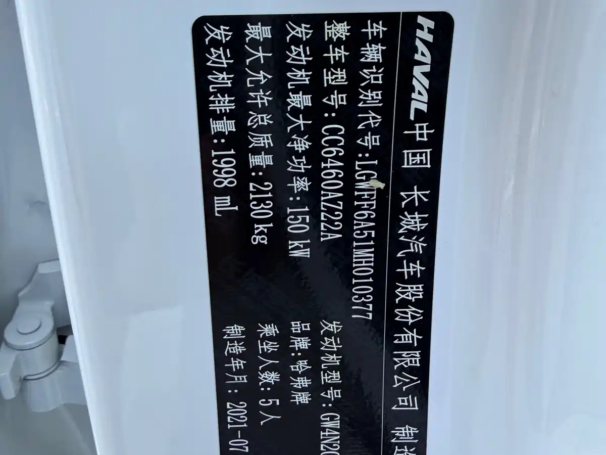 Haval Dargo 2021 2021 2.0T DCT 4WD Chinese Rural Dog Edition