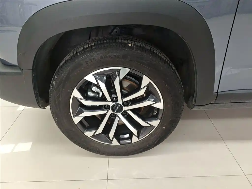 Haval Big Dog 2024 1.5T DCT Border Collie Edition фото 23
