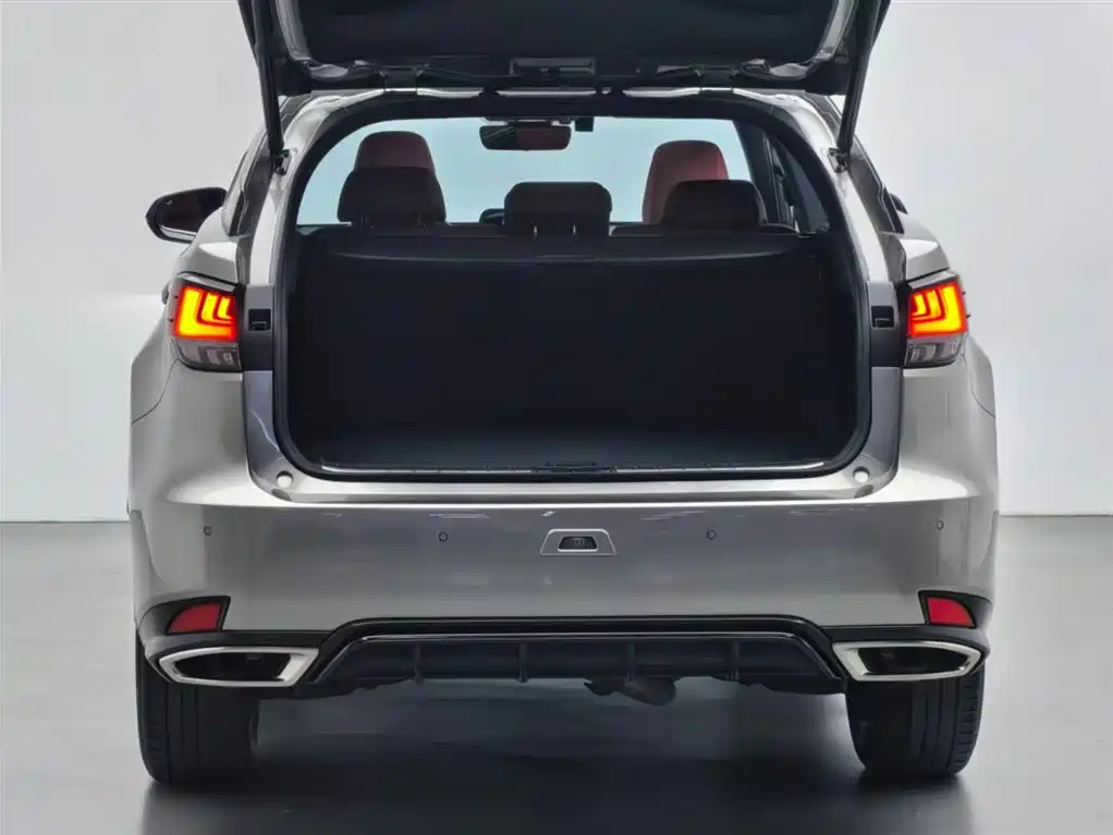 Lexus RX 2020 300 AWD F SPORT China V фото 19