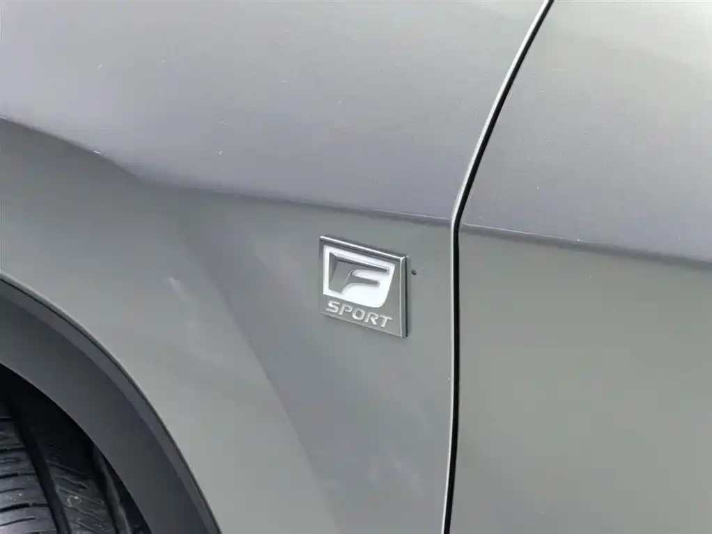 Lexus RX 2020 300 AWD F SPORT China V фото 17