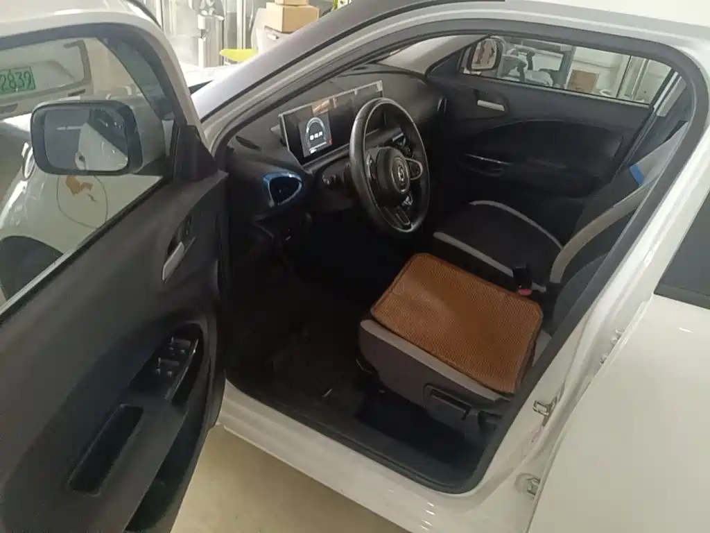 Ora White Cat 2021 2020 360km Luxury Model