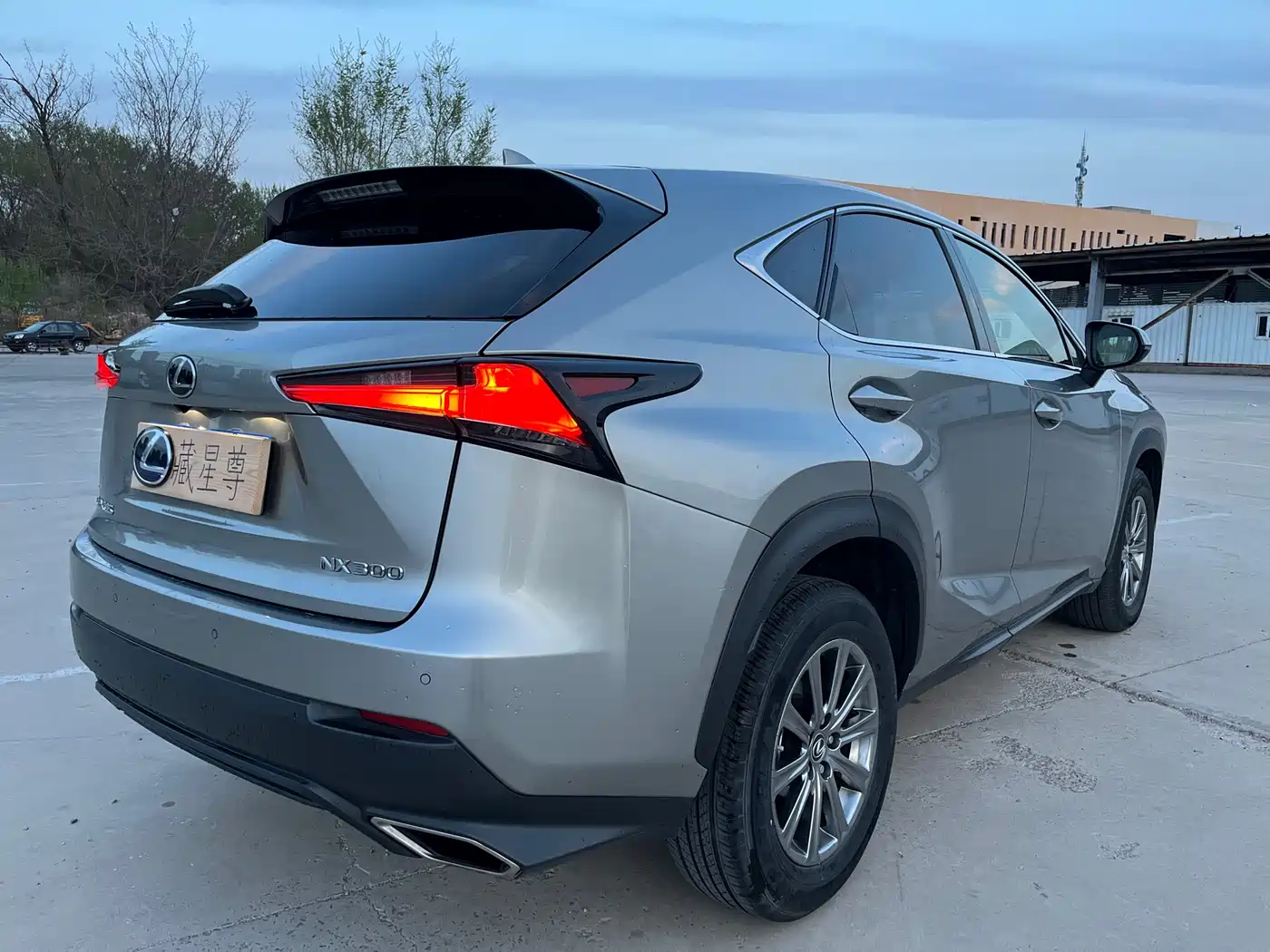Lexus NX 2018 Model 300 FWD Fengxing Edition фото 12