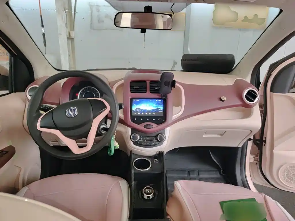 Changan Benben E-Star 2022 2022 Appreciation Edition Colorful LFP