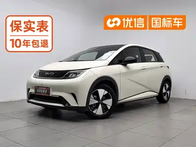 BYD Dolphin