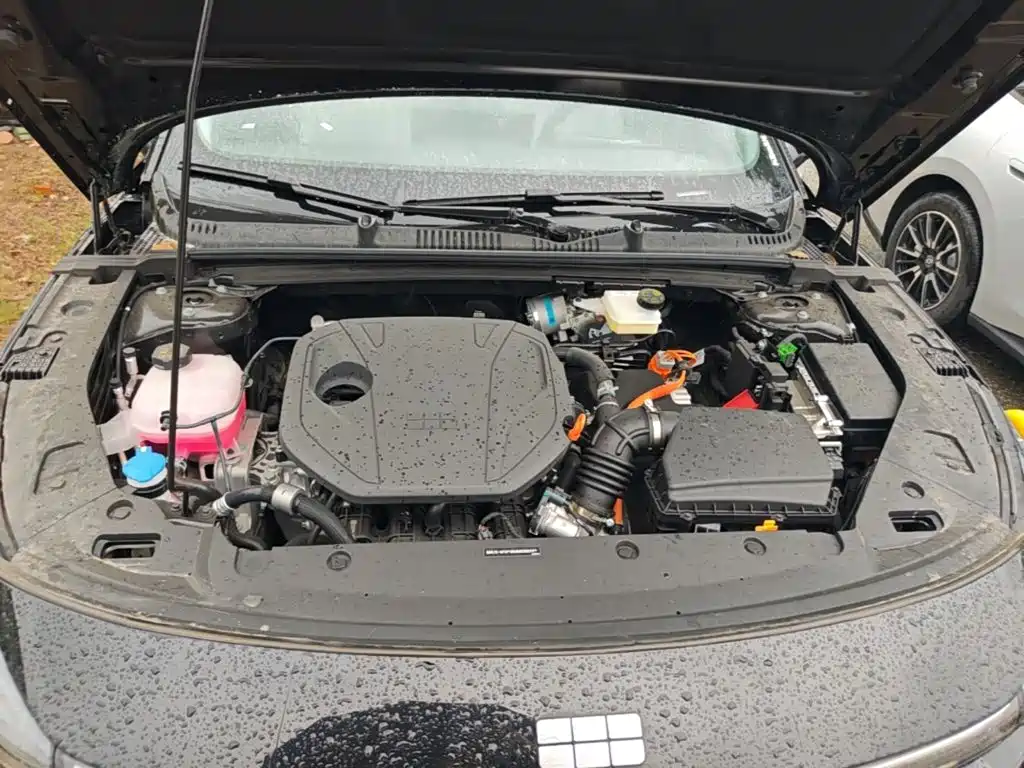 Фото 20 - Geely Galaxy Galaxy L6