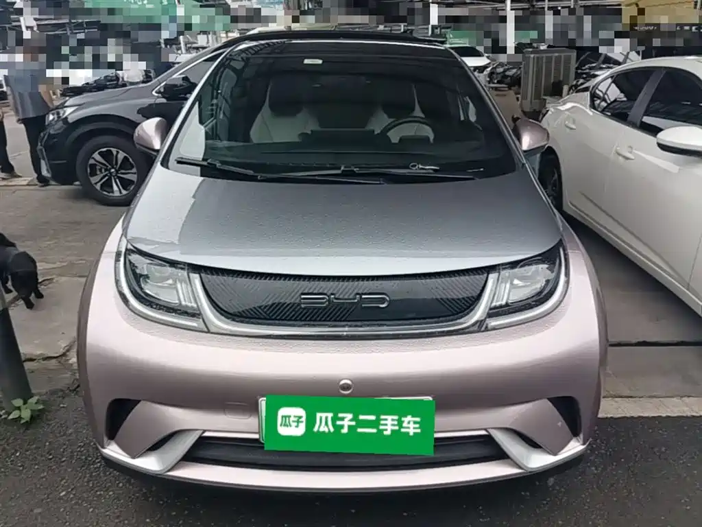 BYD Dolphin 2021 Model 405km Fashion Edition фото 3