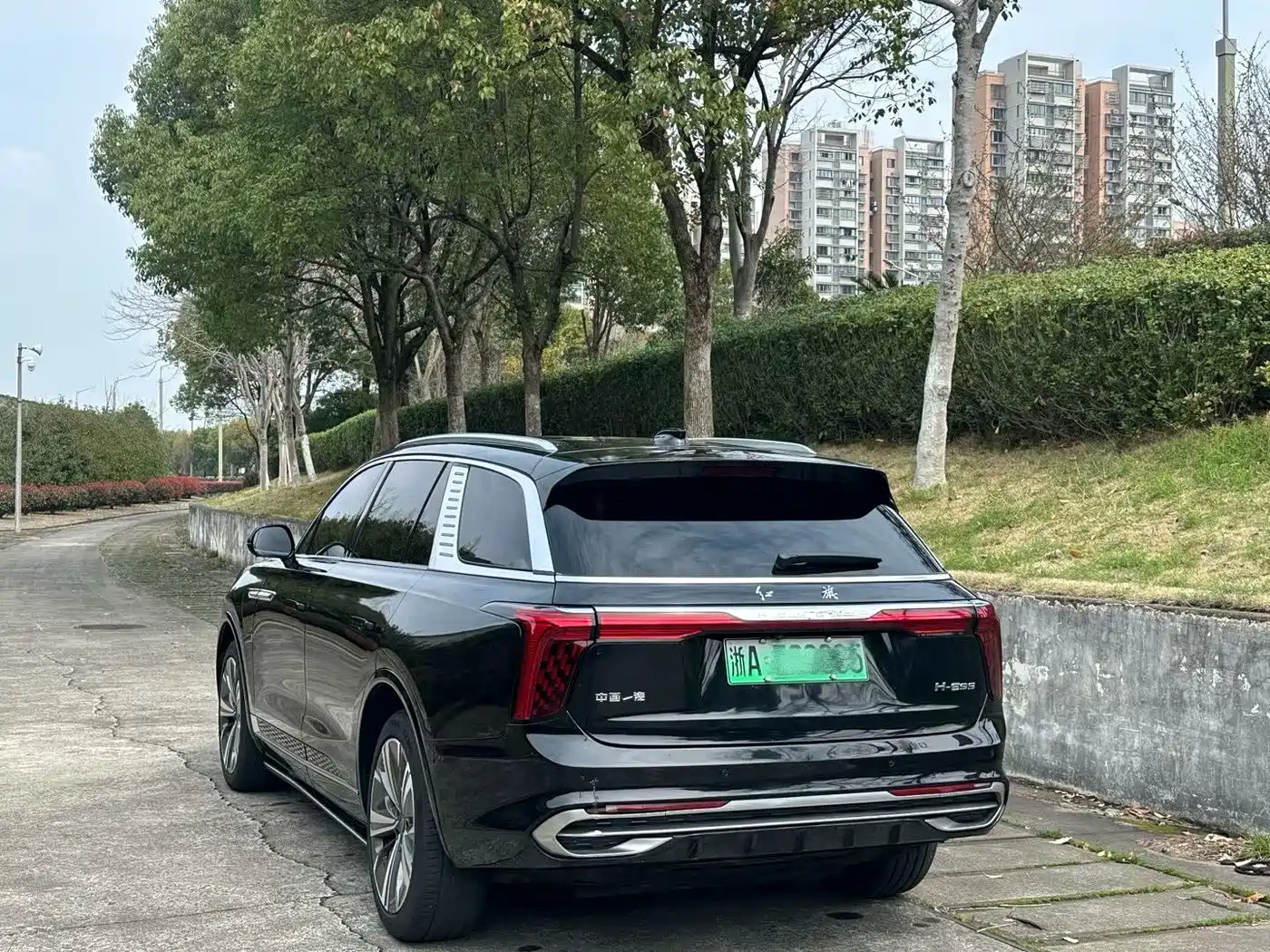 Hongqi HONGQI E HS9