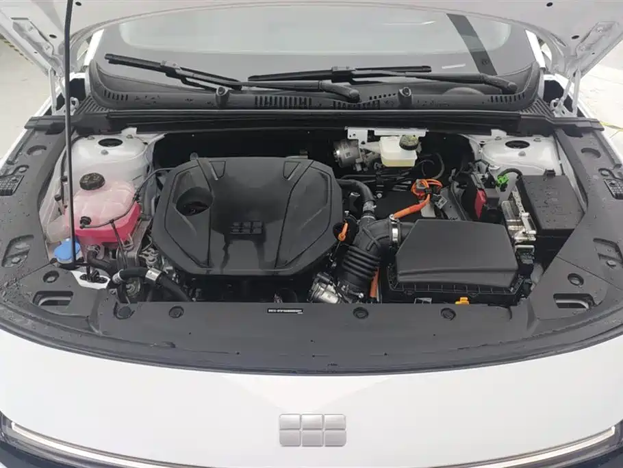 Geely Galaxy Galaxy L6 2025 EM-i 140km Voyage Edition фото 10