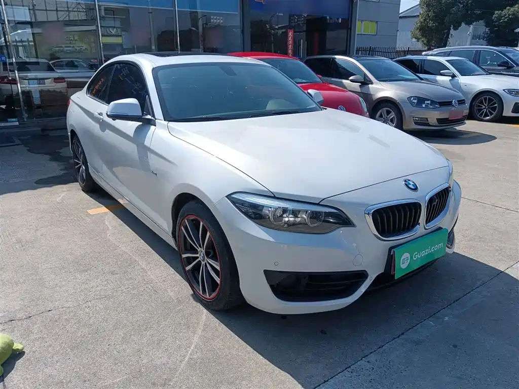 BMW 2 Series (Import) 2018 220i Sport Design Package фото 22