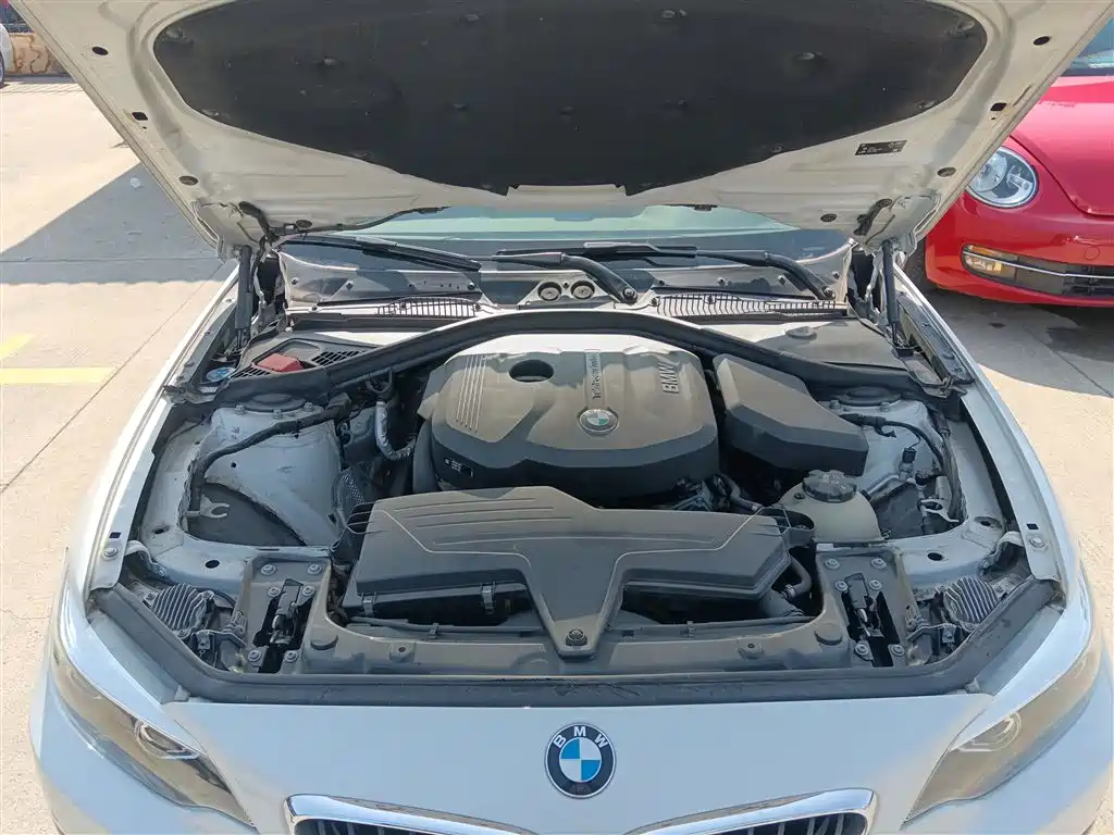 BMW 2 Series (Import) 2018 220i Sport Design Package фото 16