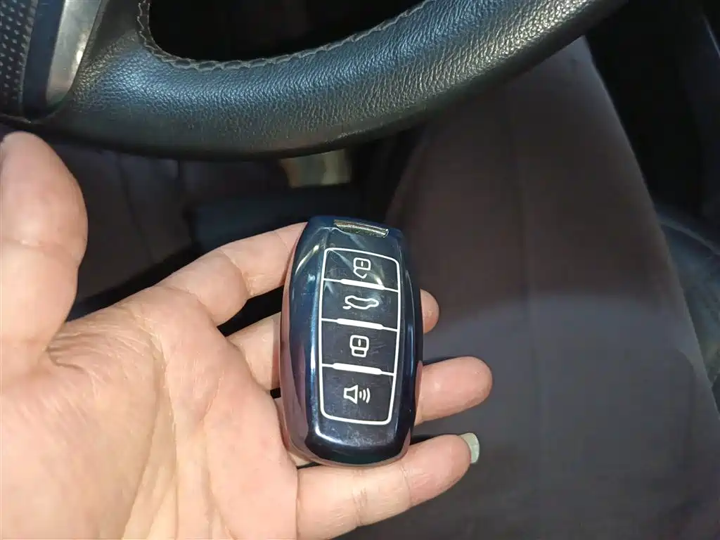 Haval H6 2020 2.0GDIT Automatic Platinum Champion Edition фото 17