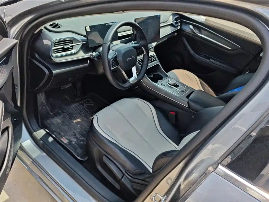 BYD Destroyer 05 2024 Glory Edition DM-i 55KM Luxury фото 9