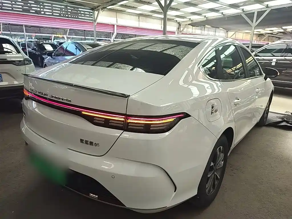 BYD Destroyer 05 2024 Glory Edition DM-i 55KM Luxury фото 7