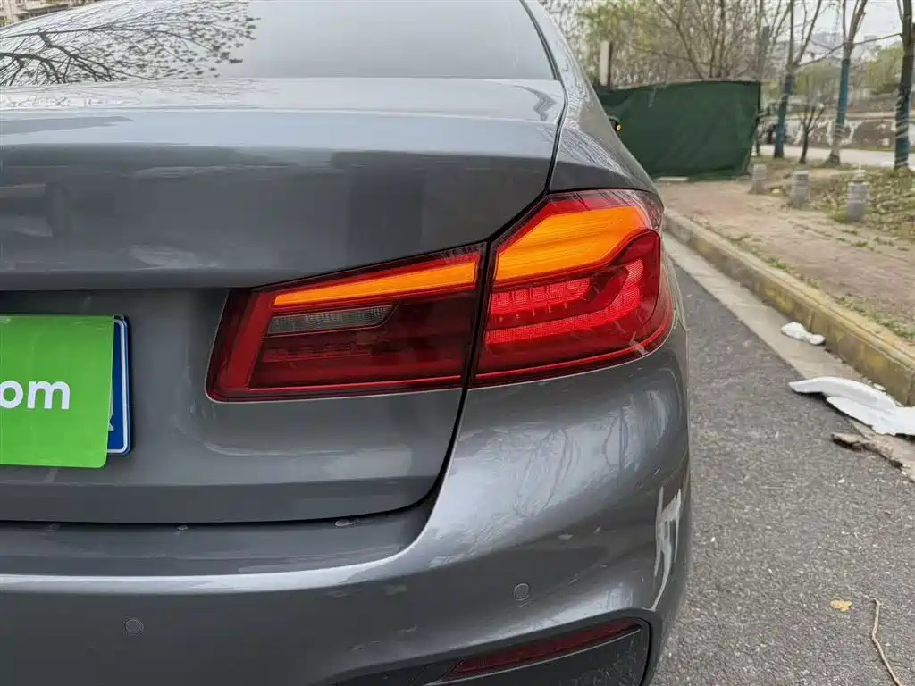 BMW 5 Series (Import) 2019 Facelift 525i M Sport Package фото 24