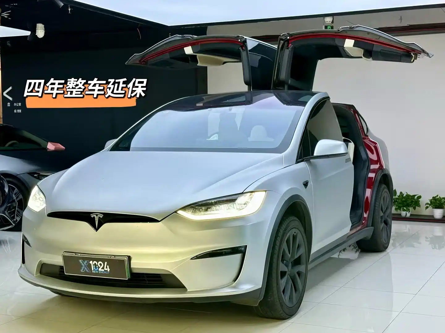 Фото 1 - Tesla Model X