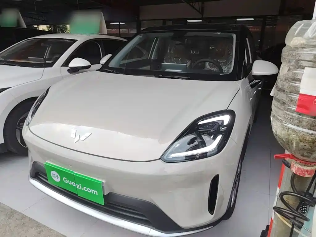 Wuling Motors Wuling Bingo S 2026 2025 Model 430km Premium Edition