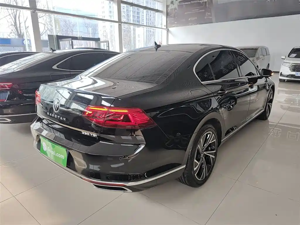 Volkswagen Magotan 2020 330TSI DSG Luxury фото 7