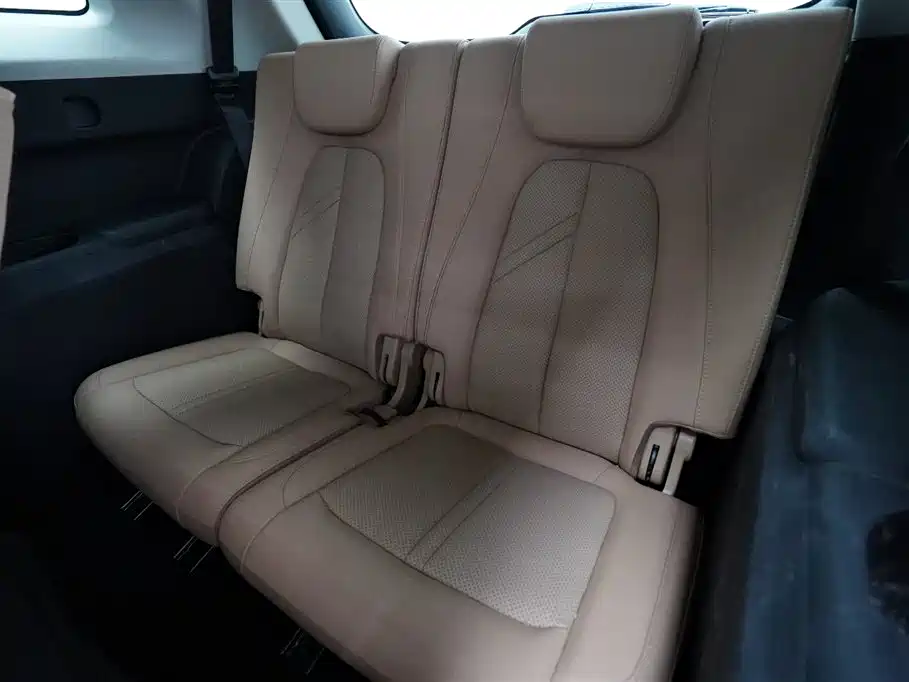 Landian E5 2024 2024 Glory Edition 100KM Comfort Type 7-Seater