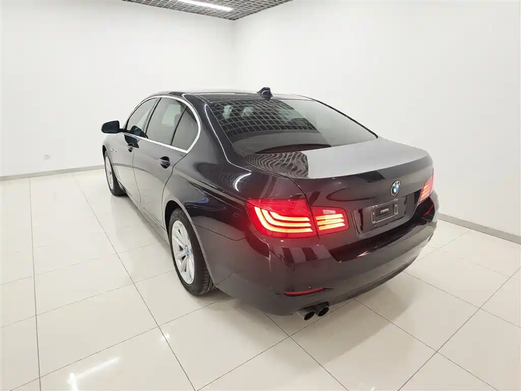 BMW 5 Series 2014 520Li Elegance фото 5