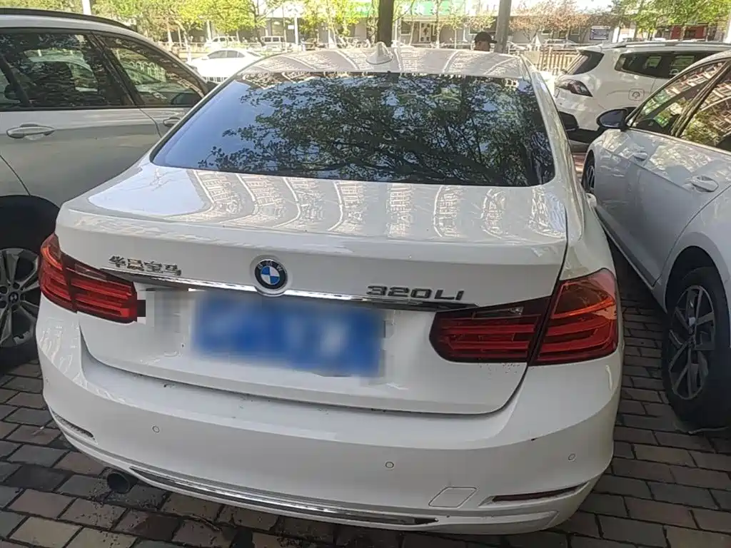 BMW 3 Series 2014 320Li Fashion фото 6