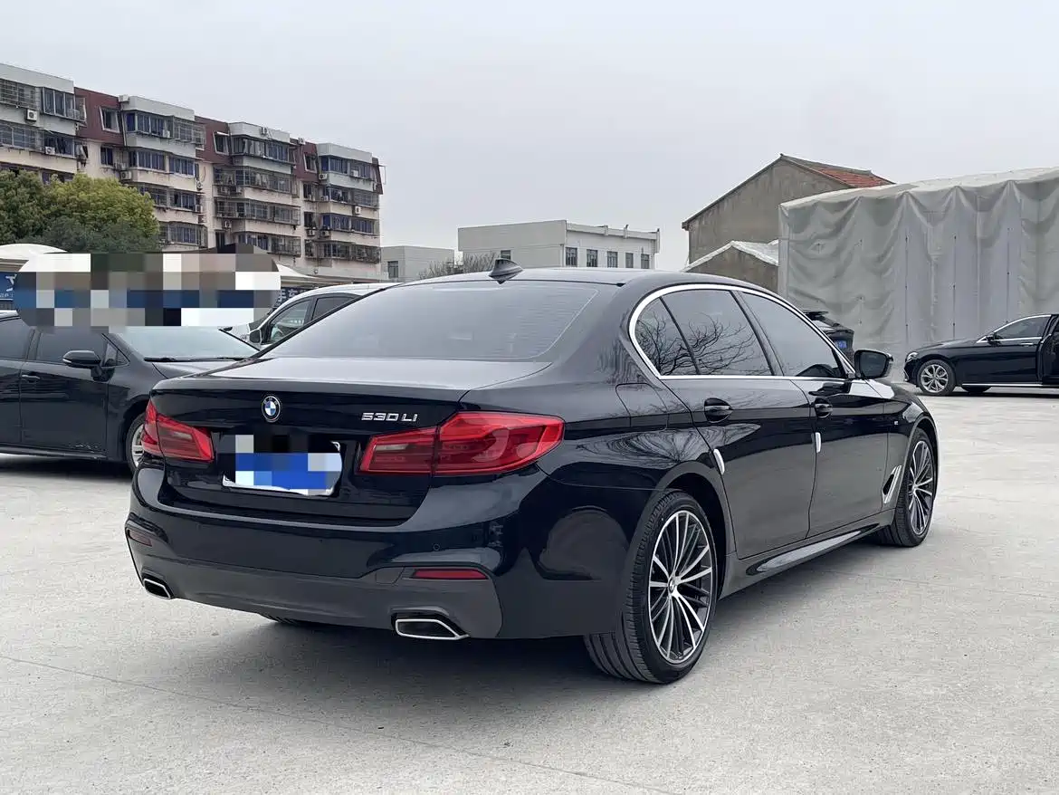 BMW 5 Series 2020 530Li Leading M Sport Package фото 13