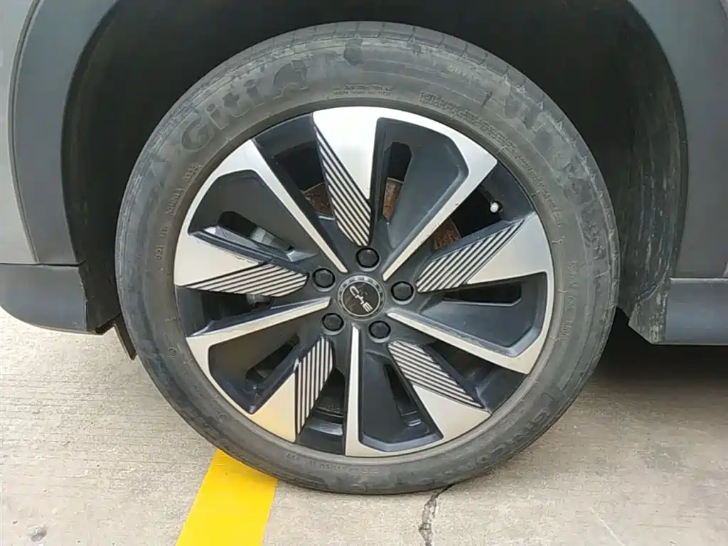 BYD Song PLUS PHEV 2025 DM-i 112KM Premium фото 25