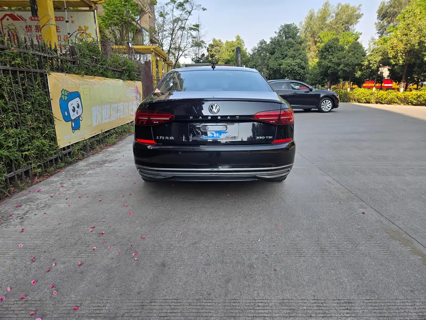 Volkswagen Passat 2020 330TSI Elite Edition China VI фото 11
