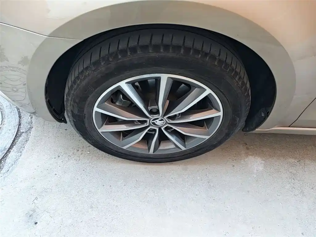 Škoda Octavia 2019 1.5L Automatic Smart Comfort China VI фото 23